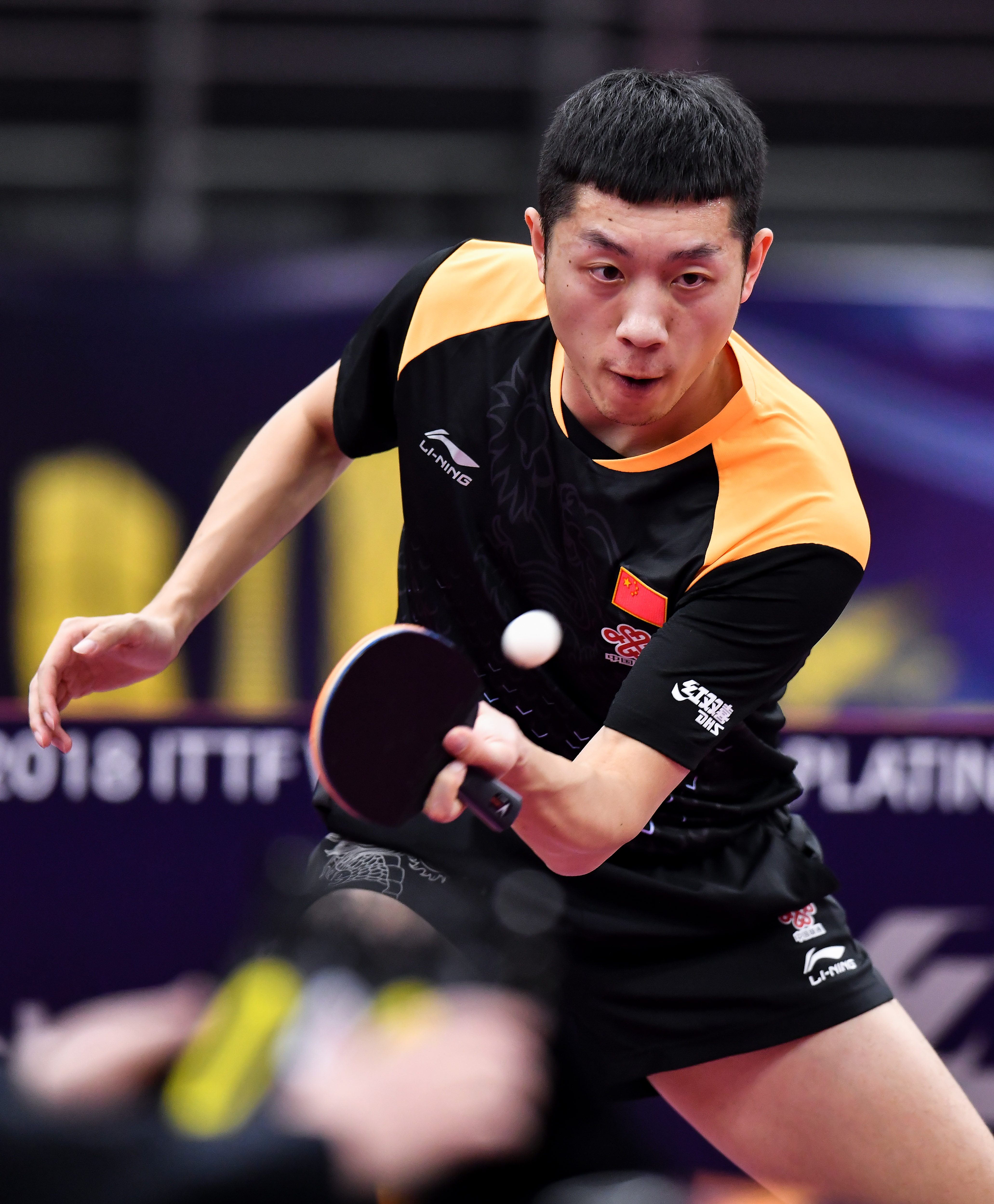 比利时乒乓球队力克波兰乒乓球队,许昕惊艳世界的简单介绍 比利时乒乓球队力克波兰乒乓球队,许昕惊艳世界的简单介绍