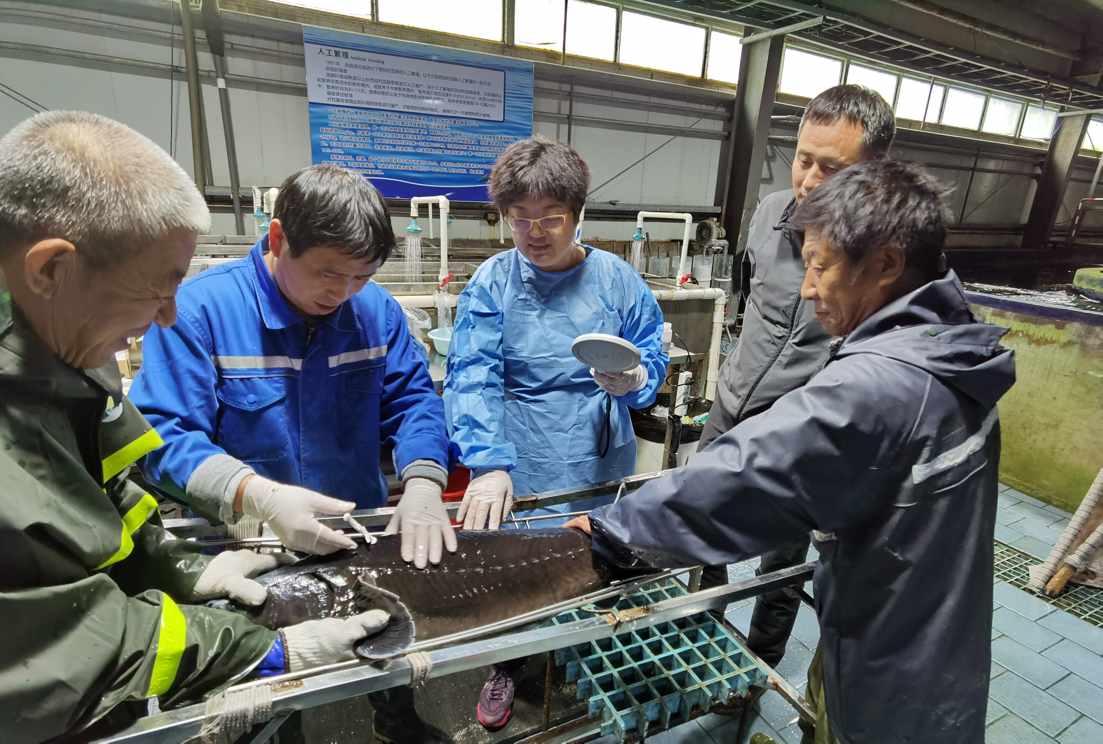 英雄联盟竞猜-江苏男篮客场作战，突破对手壁垒