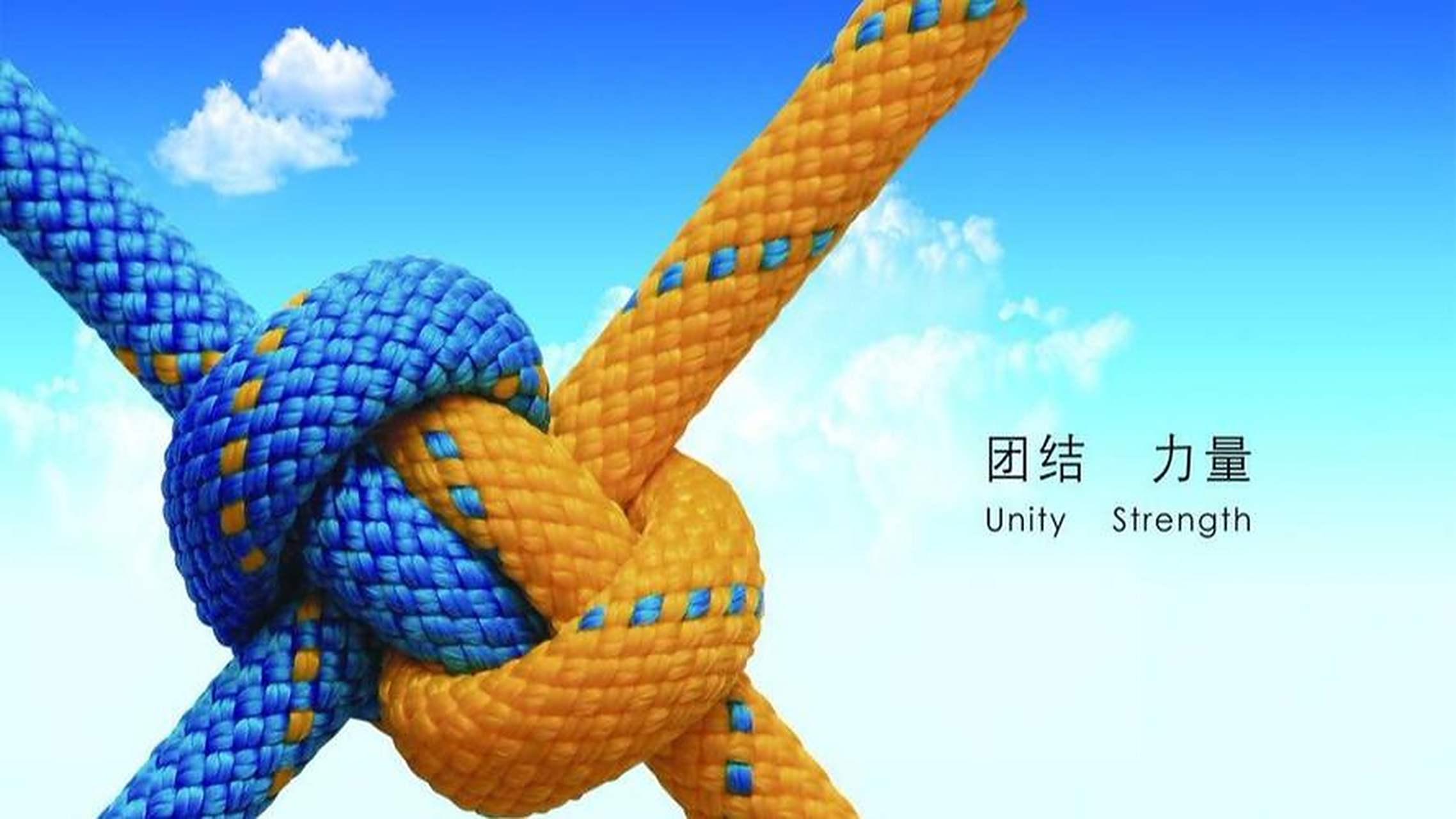 关于凭借团队合作,战胜对手实现胜利的信息 关于凭借团队合作,战胜对手实现胜利的信息